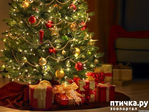 ����: ����������!!! ������������ ����)