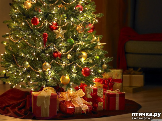 ���� 1: ����������!!! ������������ ����)