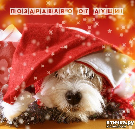 ���� 4: ����������!!! ������������ ����)