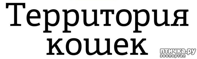 ���� 1: ����� ��� - ���������� �����