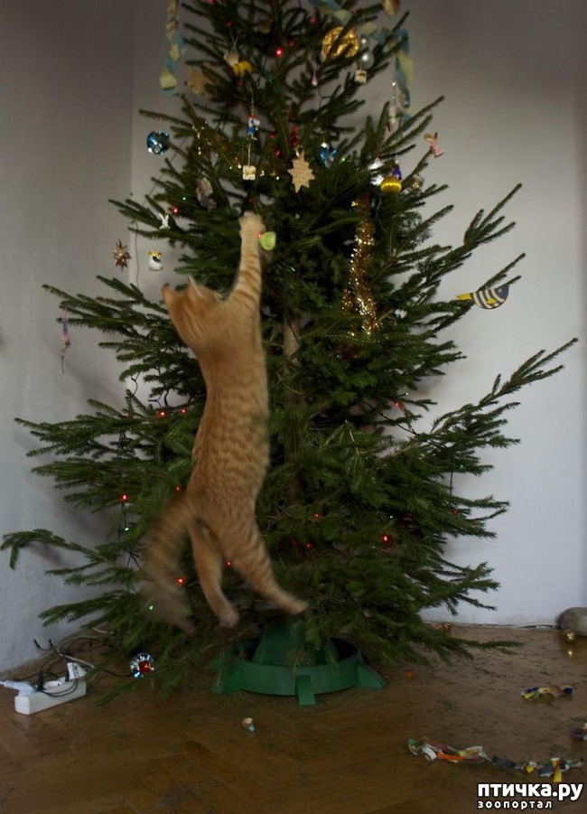 ���� 4: ����� ��� - ���������� �����