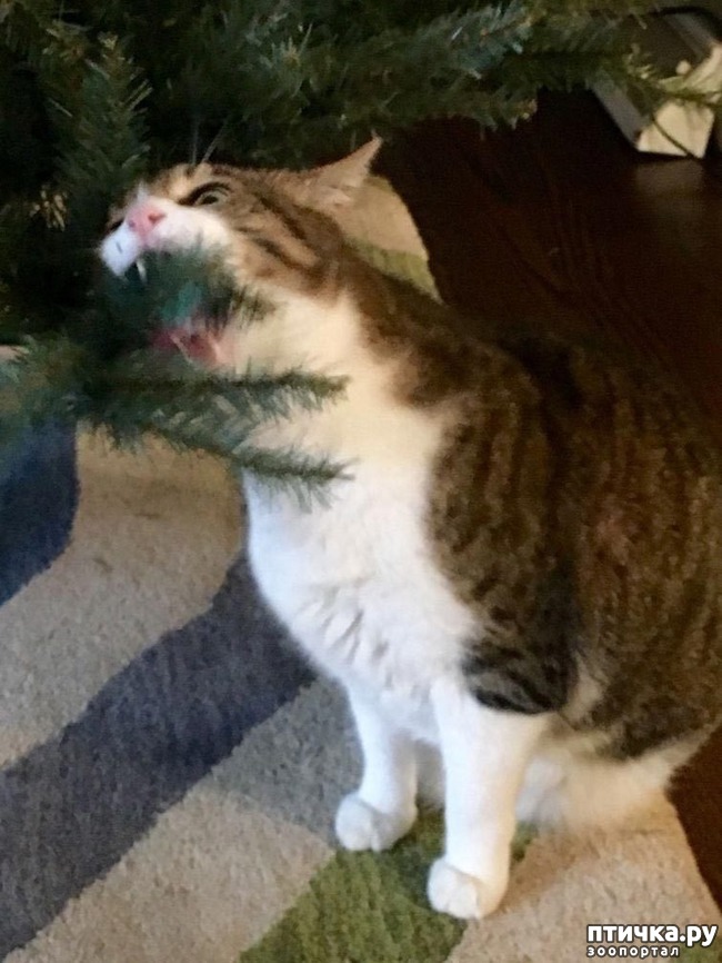 ���� 6: ����� ��� - ���������� �����