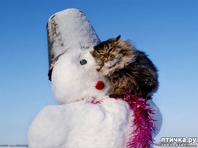 ���� 9: ����� ��� - ���������� �����