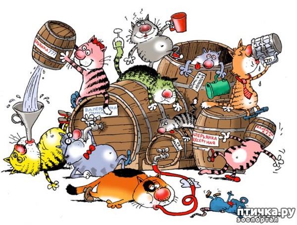 ���� 10: ����� ��� - ���������� �����