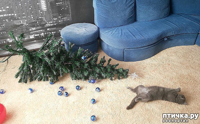 ���� 12: ����� ��� - ���������� �����