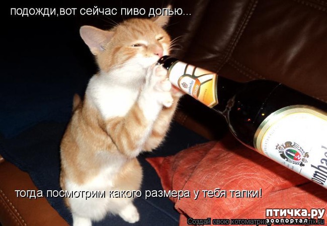 ���� 14: ����� ��� - ���������� �����