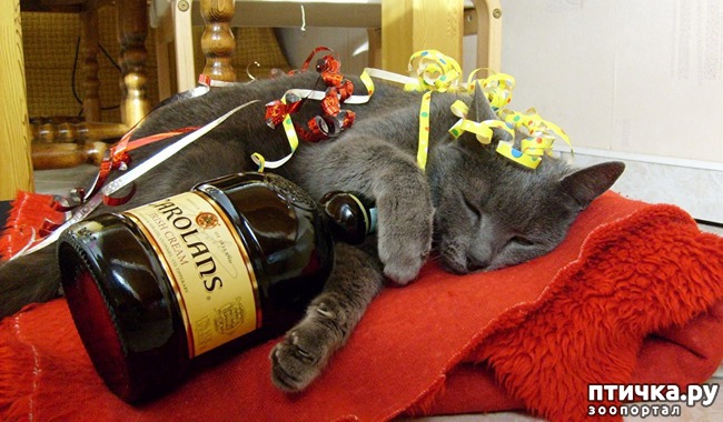 ���� 15: ����� ��� - ���������� �����