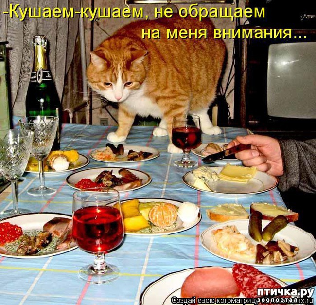 ���� 16: ����� ��� - ���������� �����