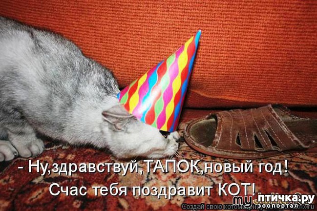 ���� 17: ����� ��� - ���������� �����