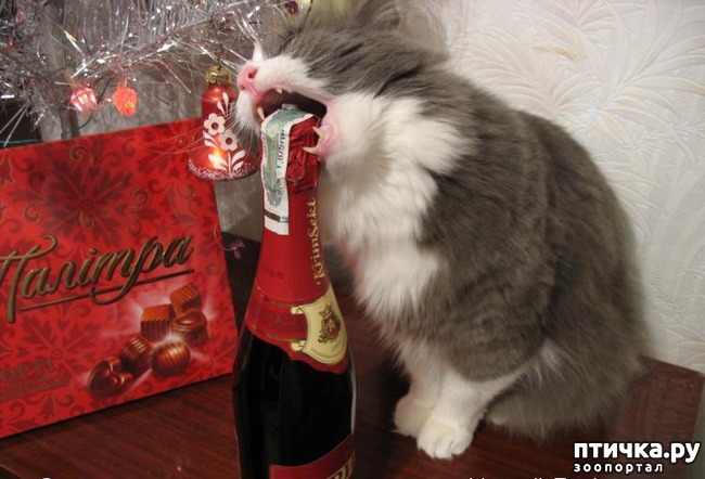 ���� 18: ����� ��� - ���������� �����