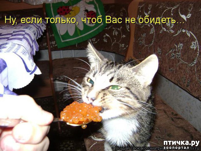 ���� 20: ����� ��� - ���������� �����