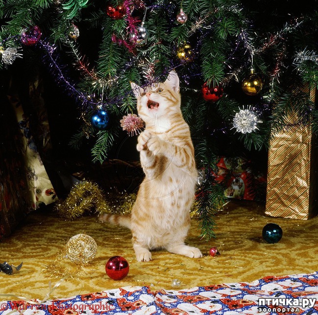 ���� 21: ����� ��� - ���������� �����