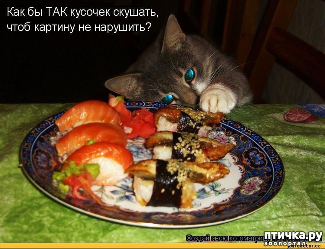 ���� 26: ����� ��� - ���������� �����