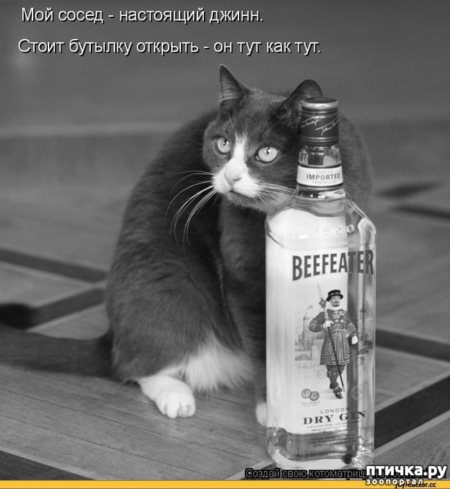 ���� 27: ����� ��� - ���������� �����