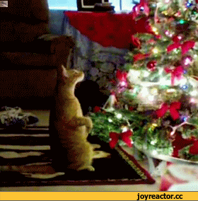 ���� 28: ����� ��� - ���������� �����