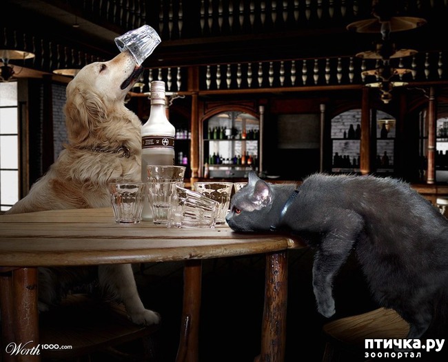 ���� 29: ����� ��� - ���������� �����