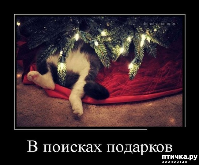 ���� 31: ����� ��� - ���������� �����