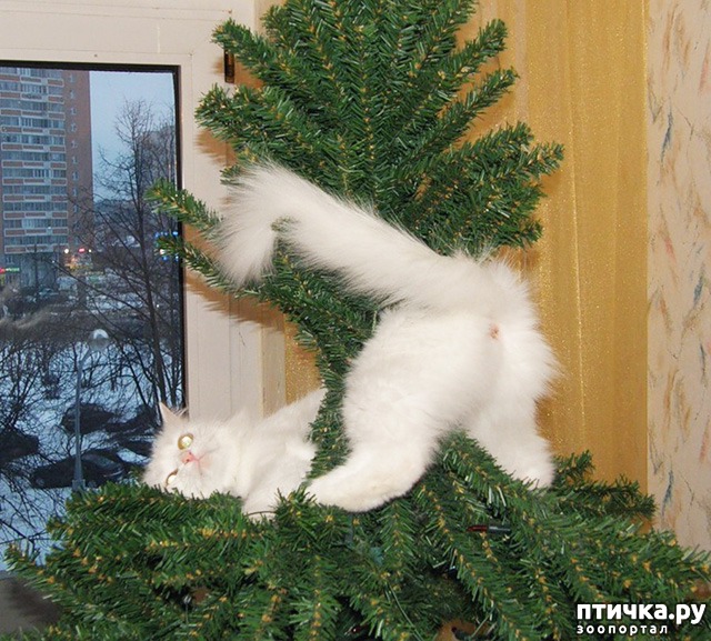 ���� 32: ����� ��� - ���������� �����