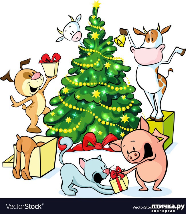 ���� 40: ����� ��� - ���������� �����