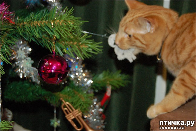 ���� 44: ����� ��� - ���������� �����