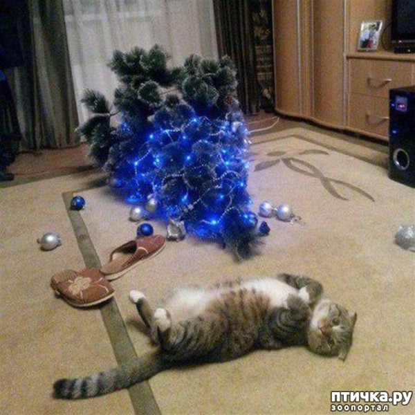 ���� 45: ����� ��� - ���������� �����