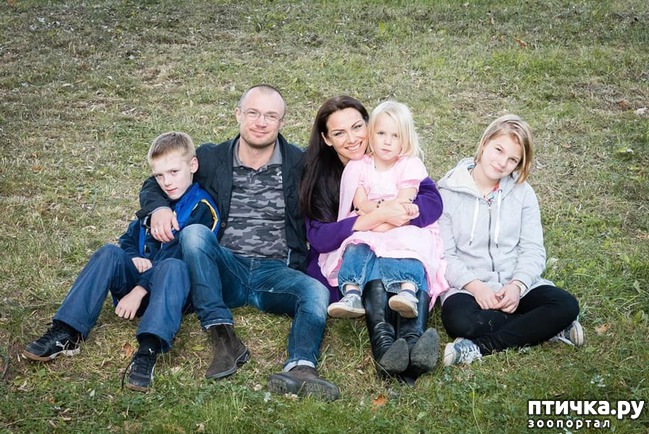 ���� 2: ������ ��� ����