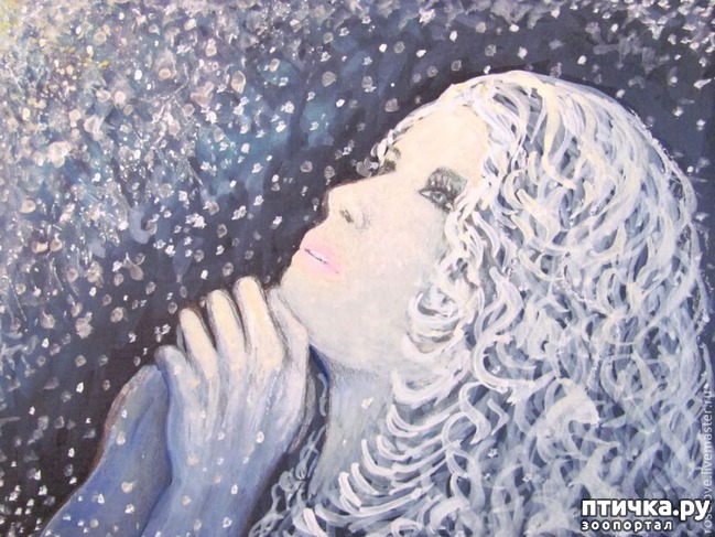 ���� 5: ����������!!! ������������ ����)