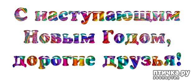 ���� 50: ����� ��� - ���������� �����