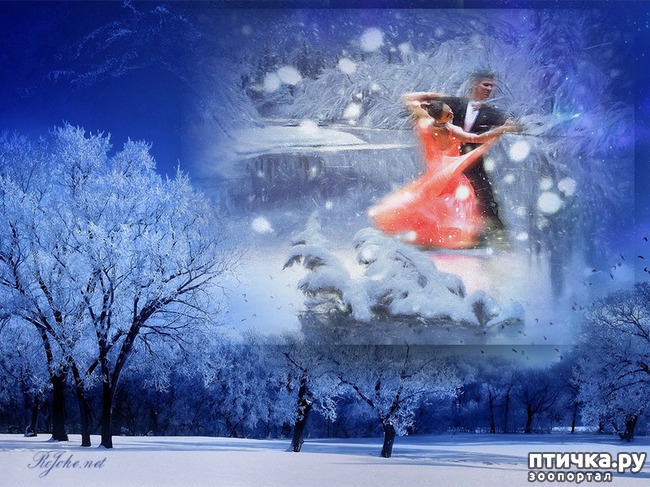 ���� 6: ����������!!! ������������ ����)