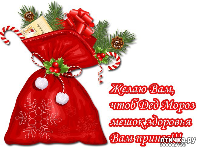 ���� 6: ������� � �������� ����!