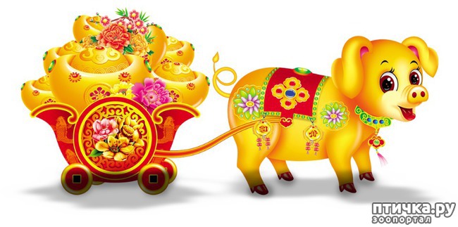 ���� 3: ������� � �������� ����!