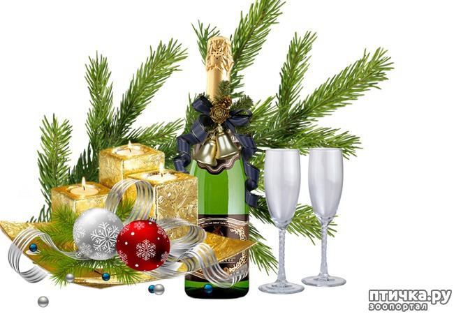 ���� 7: ������� � �������� ����!