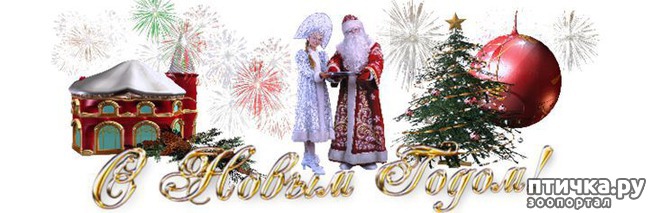 ���� 8: ������� � �������� ����!