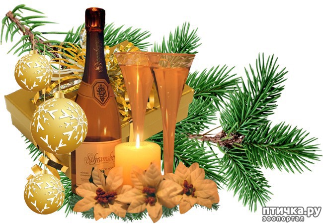 ���� 10: ������� � �������� ����!