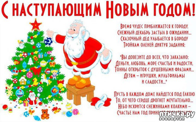 ���� 11: ������� � �������� ����!