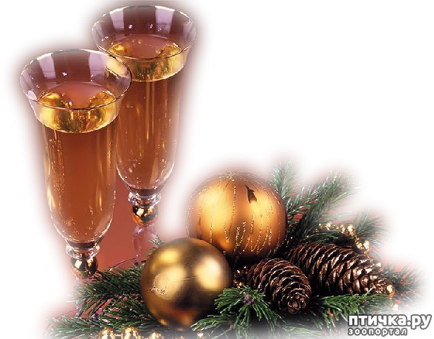 ���� 12: ������� � �������� ����!