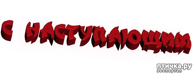 ���� 4: ������� � �������� ����!