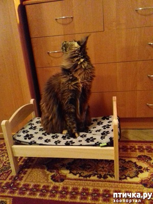 фотография: Питер - город контрастов фото: Питер - город контрастов