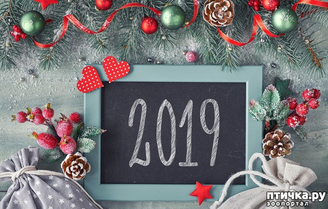 ���� 1: ���������� �����������!!!