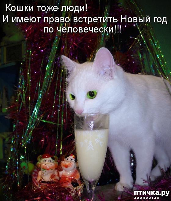 ���� 3: ���������� �����������!!!