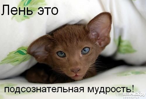 ���� 5: ���������� �����������!!!