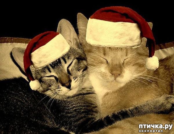 ���� 6: ���������� �����������!!!