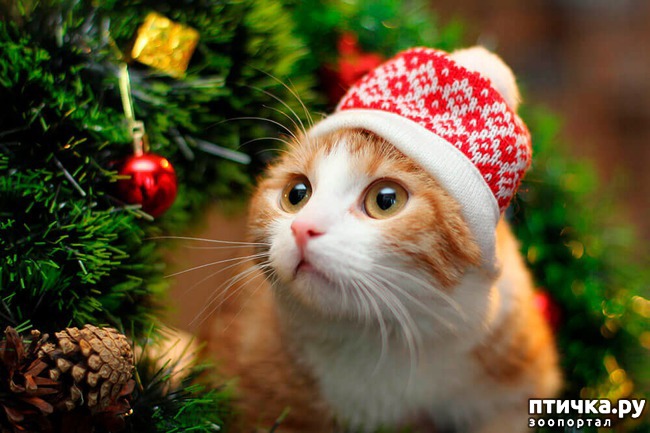 ���� 7: ���������� �����������!!!