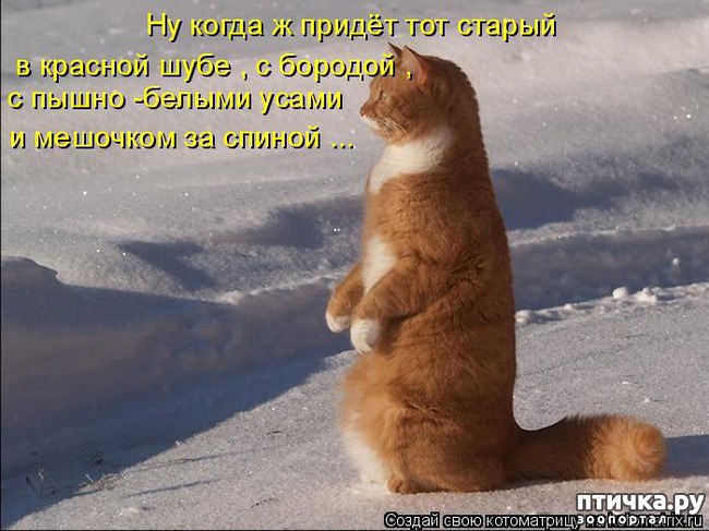 ���� 8: ���������� �����������!!!