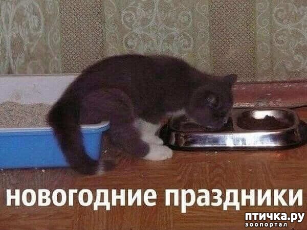 ���� 9: ���������� �����������!!!