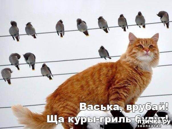 ���� 10: ���������� �����������!!!