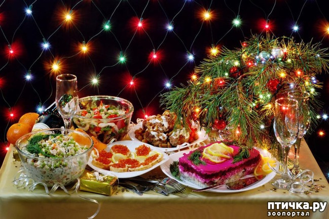 ���� 1: � ����� ��������!