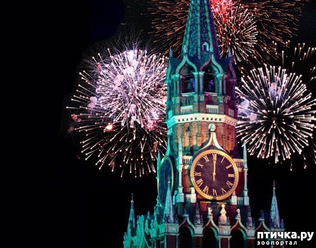 ���� 2: � ����� ��������!