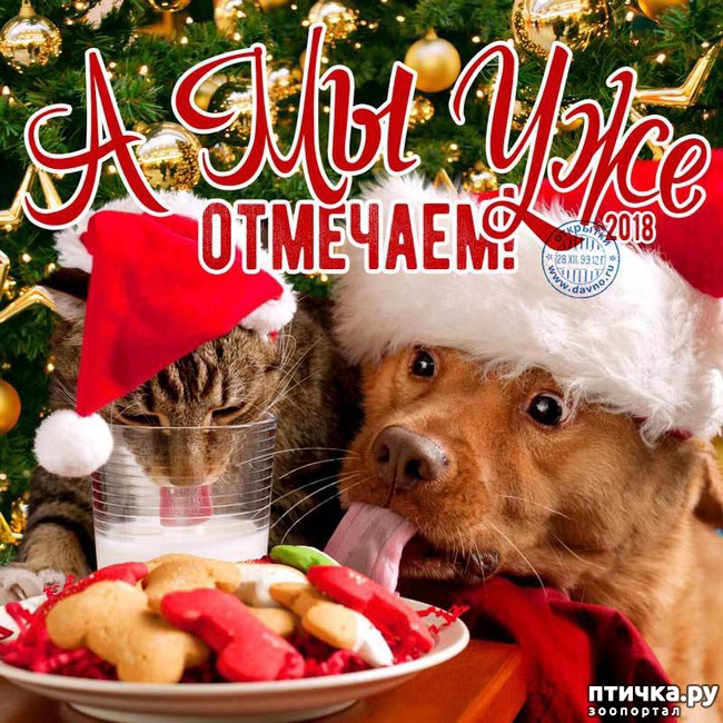 ���� 3: ���� ����, �������, � �������...