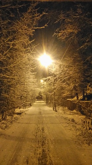 ����: ��������������. ������ ���� ������� � �������� - ����.